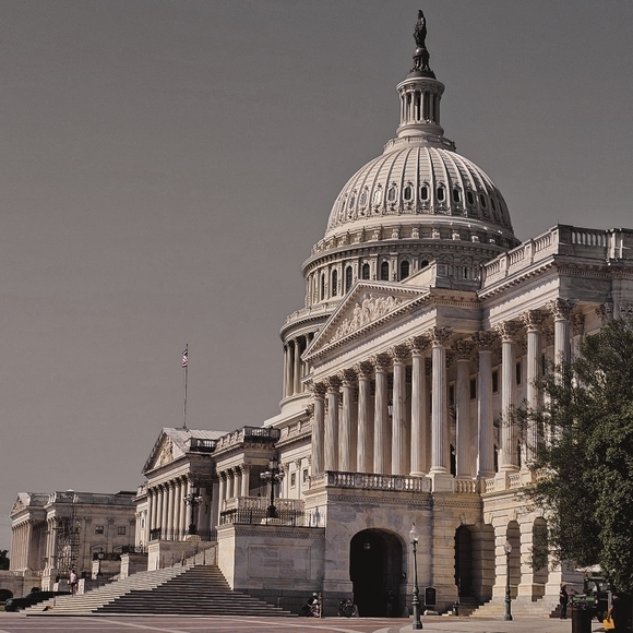 Meet your Posher, Fevie - Picture 14 of 14